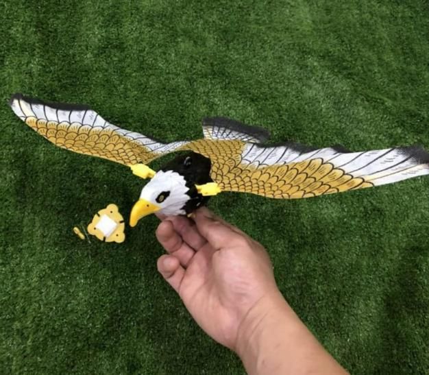 Realistic Flying Eagle Bird Toy with Spread Wings || Toy for Kids