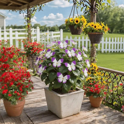 Moonlight Butterfly Seeds