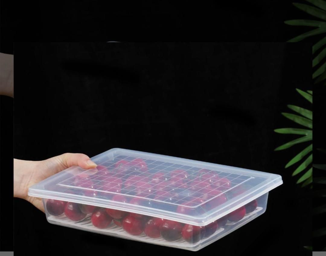 FreshBox - High Quality Fridge Organizer Box with Drain Plate