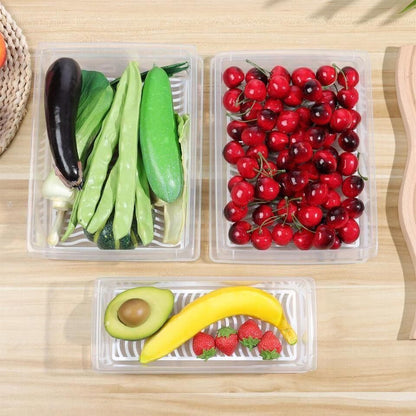 FreshBox - High Quality Fridge Organizer Box with Drain Plate